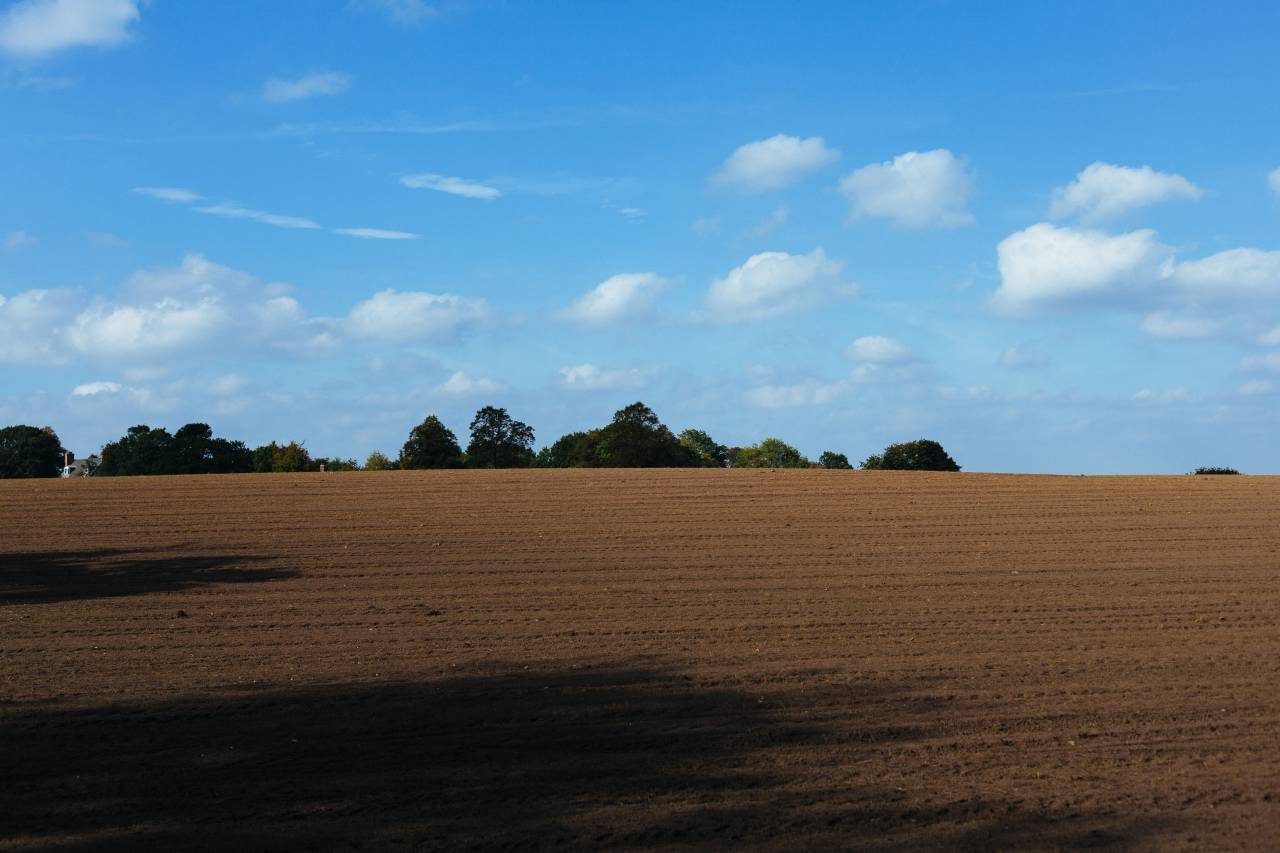 Campo, granja, suciedad, suelo, árboles, azul, cielo, nubes, agricultura,