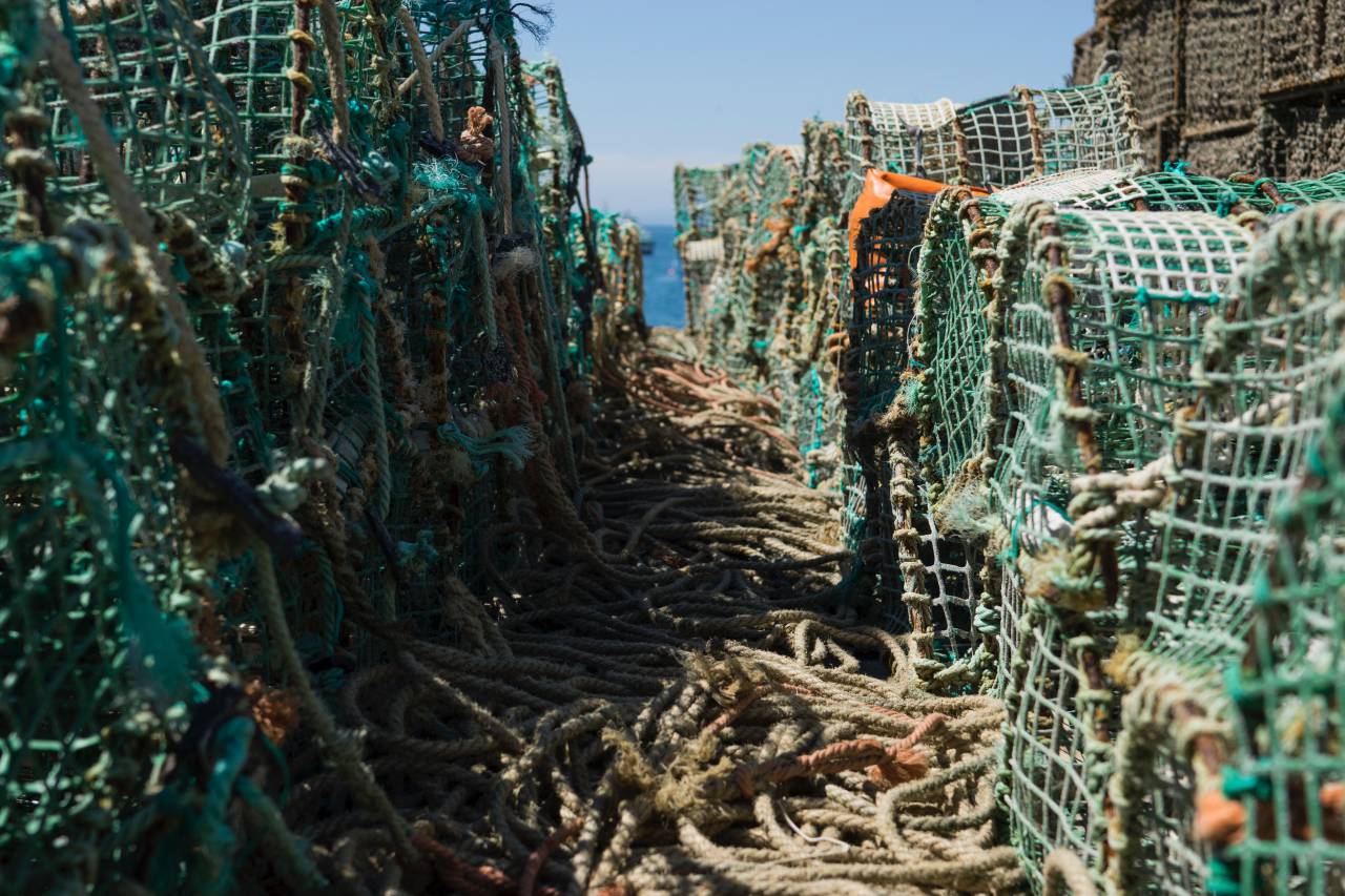 fishing, net, rope, sea, sunny, day
, 