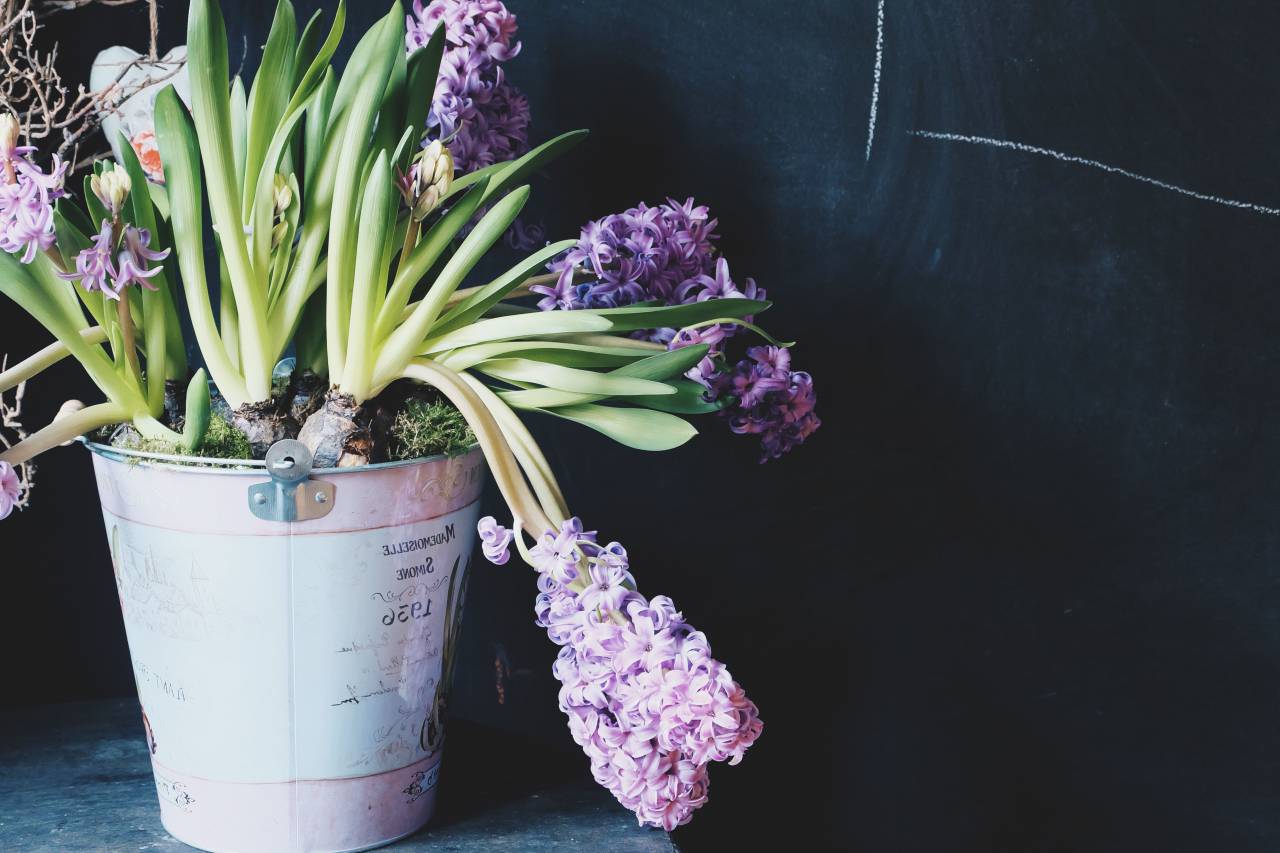 flowers, natural, blossom, bloom, tulip, yellow, red, table, lying, wooden, floor, panels, boards, cut, decorative, living, home, season, springtime
, 