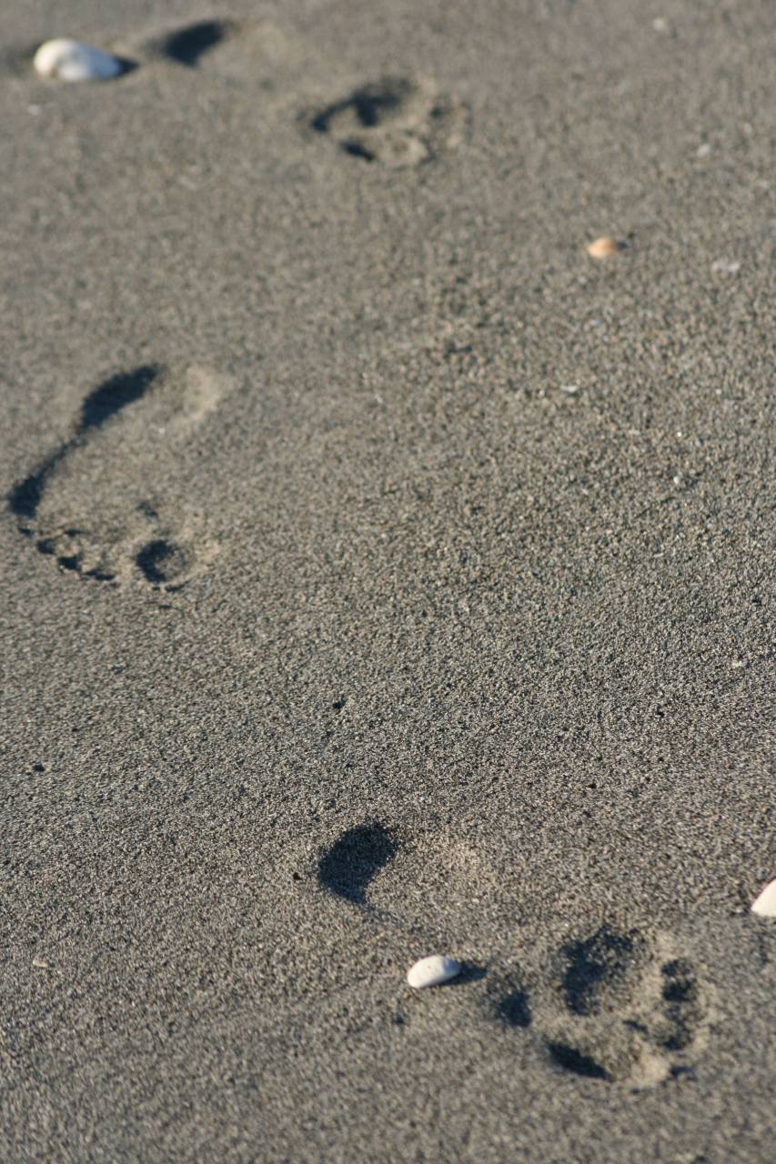 footprints, sand, beach, barefoot, foot, travel, leisure, exploring, coast, ocean, sea, shore, nature, seaside, tracks, walking
, 