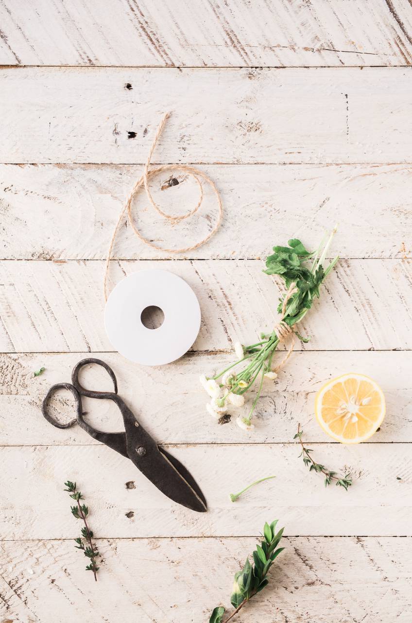green, leaf, plant, nature, orange, fruit, scissors, flower, wooden, table
, 