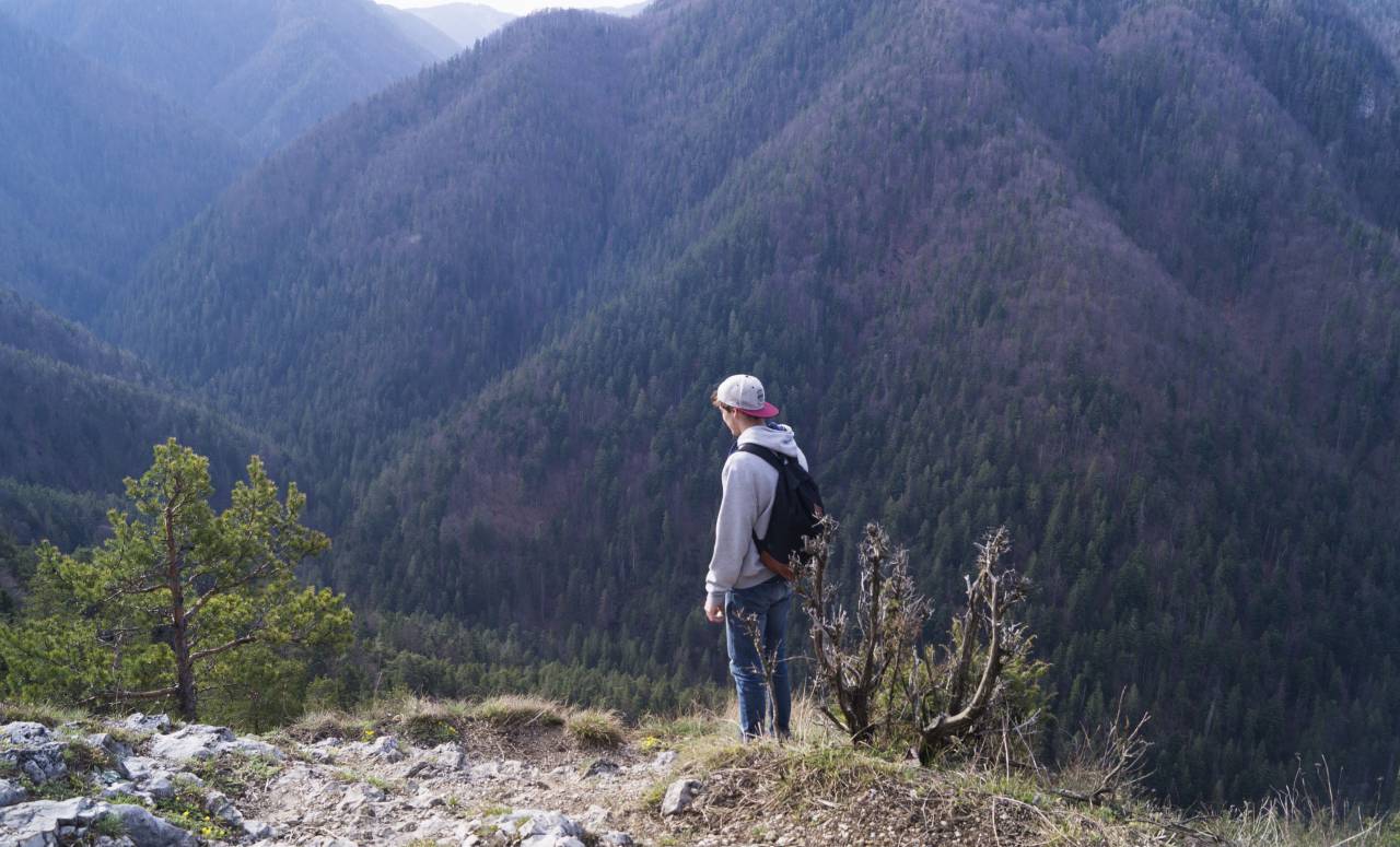 guy, man, male, people, side, view, contemplate, style, backpack, nature, mountains, travel, trek, hike, climb, summit, peaks, fog, vegetation, grass, trees, rocks
, 