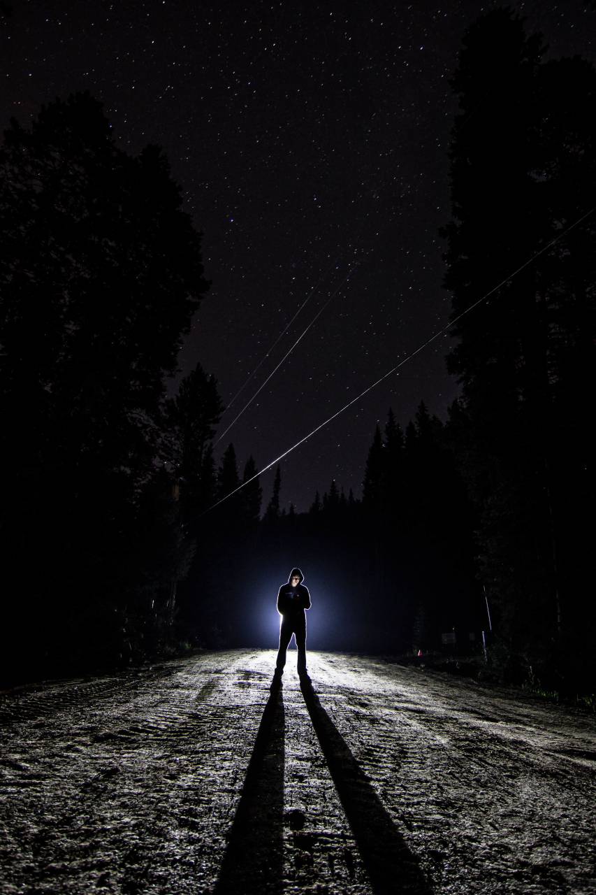 chico, hombre, macho, gente, estar, luz, sombra, silueta, destacar, camino, camino, suciedad, suelo, árboles, bosques, noche, cielo, estrellas, constelación, cayendo, deseo,