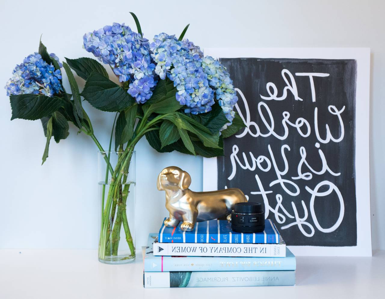 inspirador, palabra, arte, cita, negocio, motivador, fondo, concepto, trabajo, escritorio, flores, florero, oficina, libros, decoración, perro, mesa,