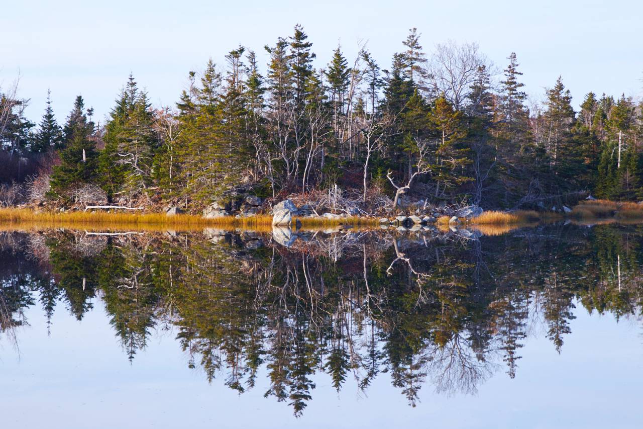 lake, reflection, landscape, shore, trees, forest, sky, nature, natural, rocky, mirror, water, pond, season, day, scenic
, 
