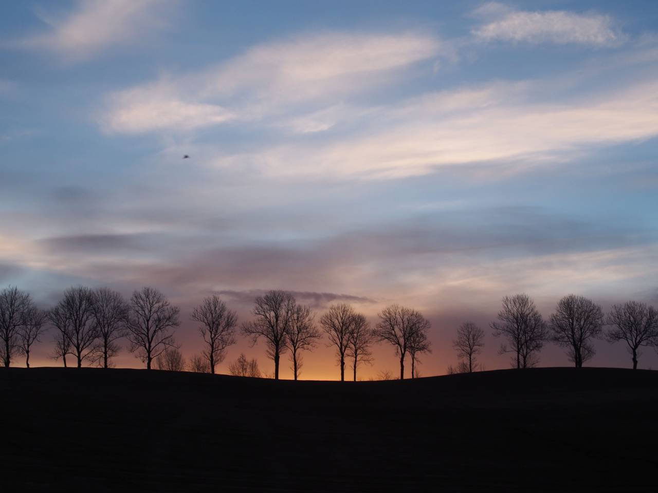 paisaje, puesta de sol, anochecer, silueta, árboles, cielo, nubes, naturaleza,