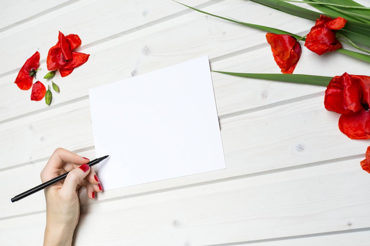 lifestyle, work, paper, pencil, red, flowers, desk, white, wooden, table, write
, 