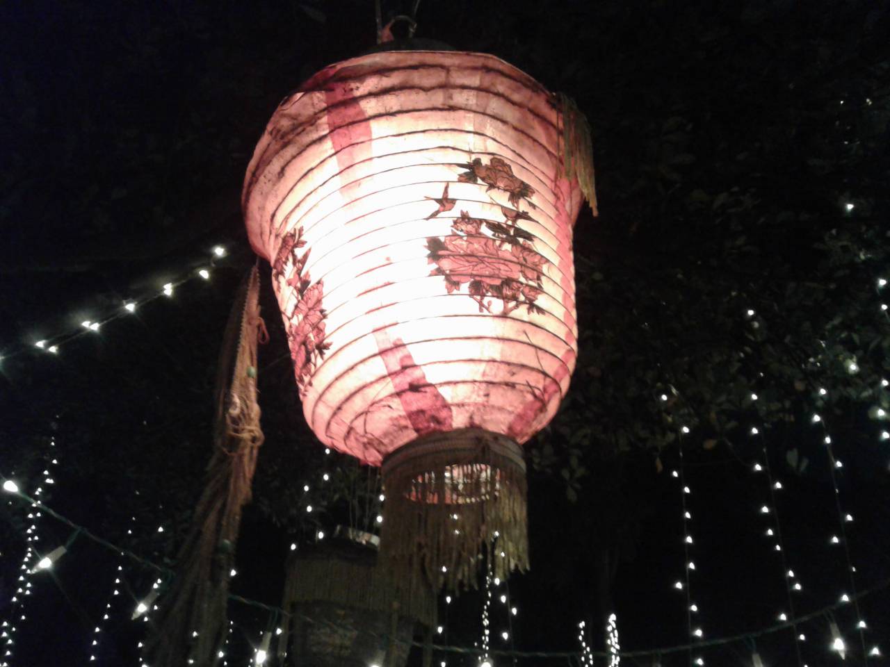 Luz, noche, lámpara, linterna, fiesta, fiesta, celebración,