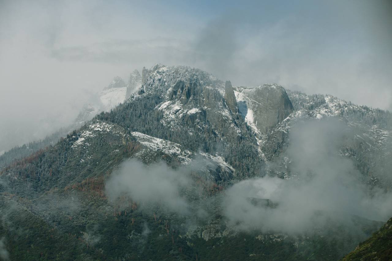 Montaña, paisaje, pico, cumbre, nieve, árboles, pinos, ver estética, rocas, niebla,