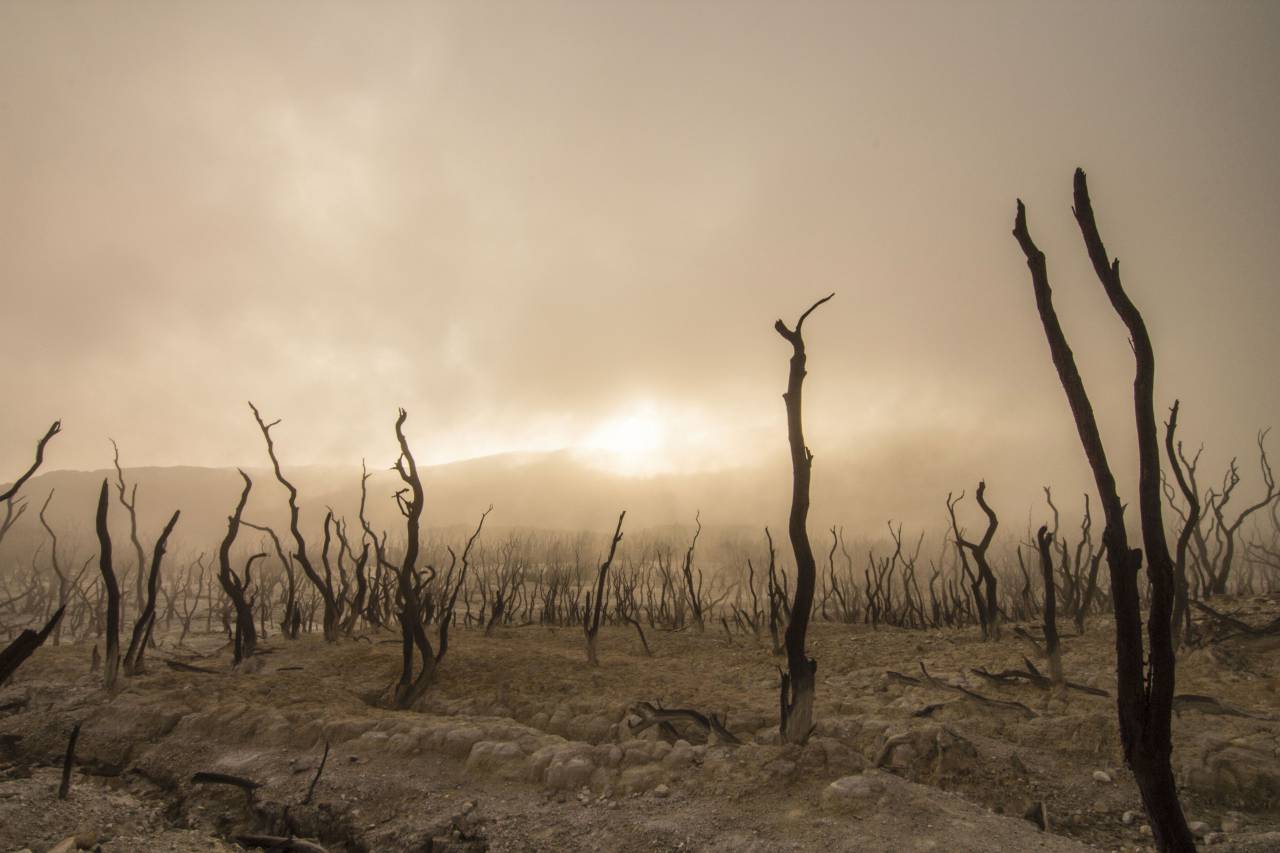 nature, landscape, clouds, sky, dried, travel, adventure
, 