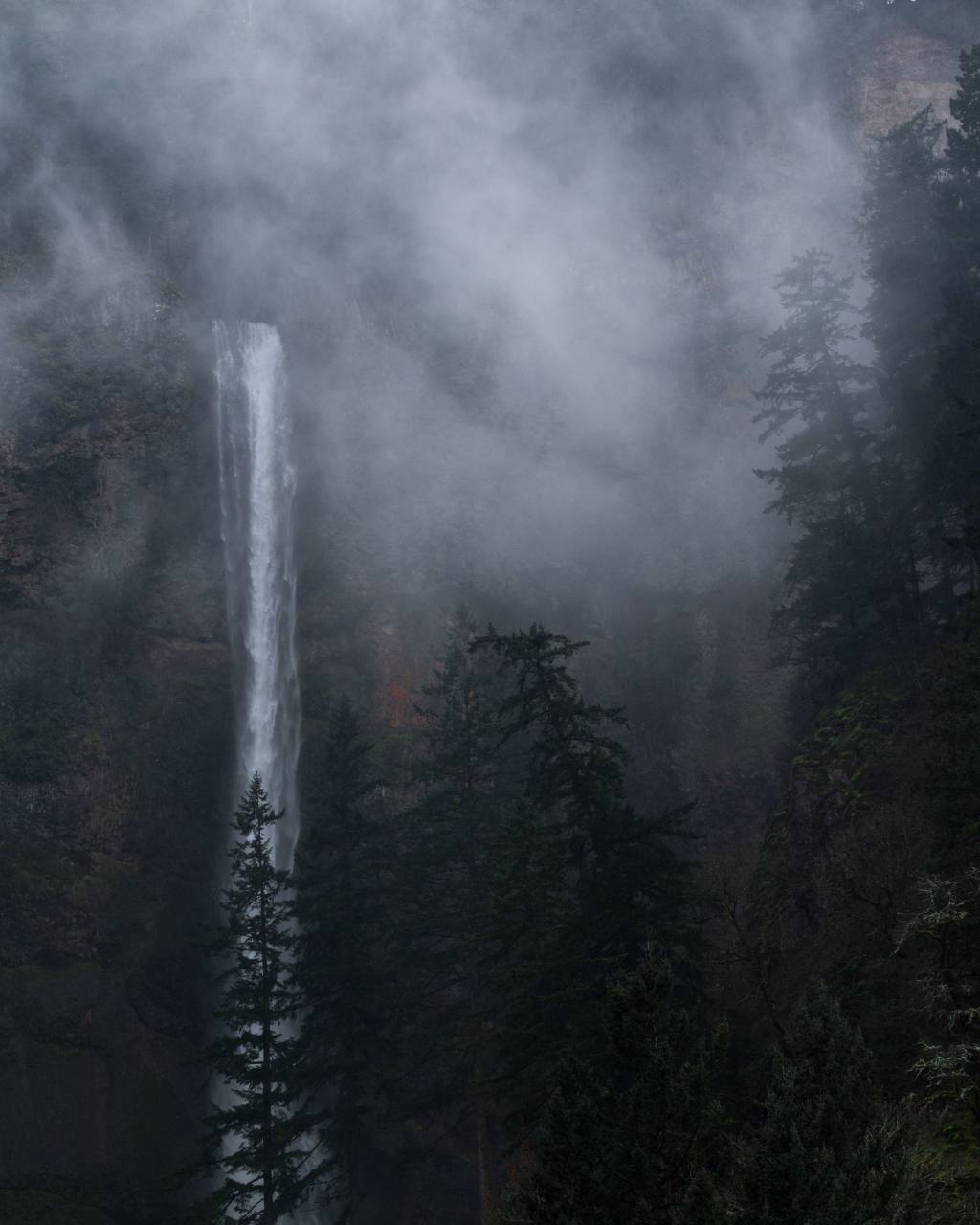 nature, water, waterfalls, altitude, forests, trees, mountains, rocks, fog
, 