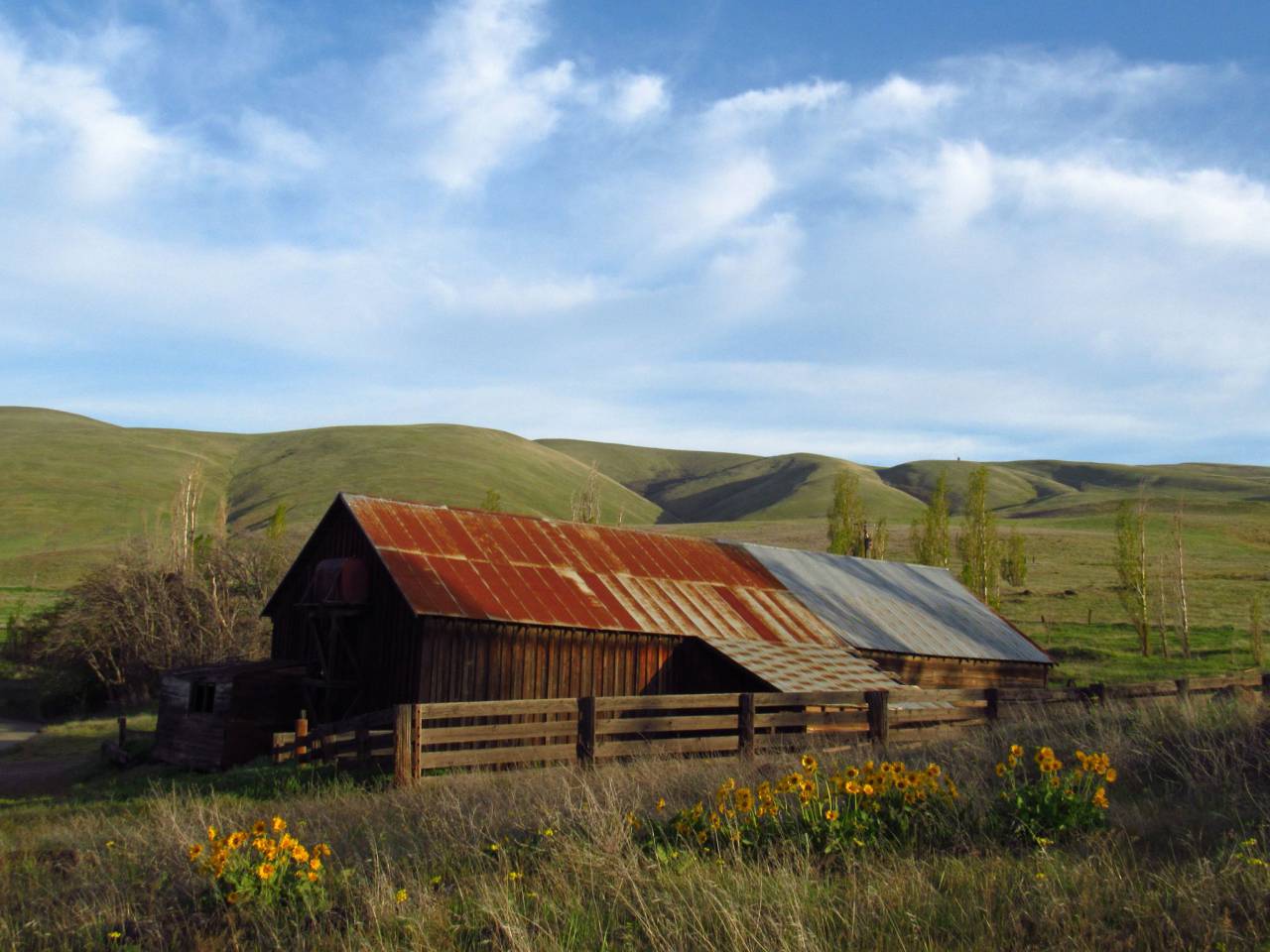 Viejo, granja, granero, rústico, paisaje, bluesky, campo, capeado, madera, valla, país, agricultura, campo, edificio, rural,