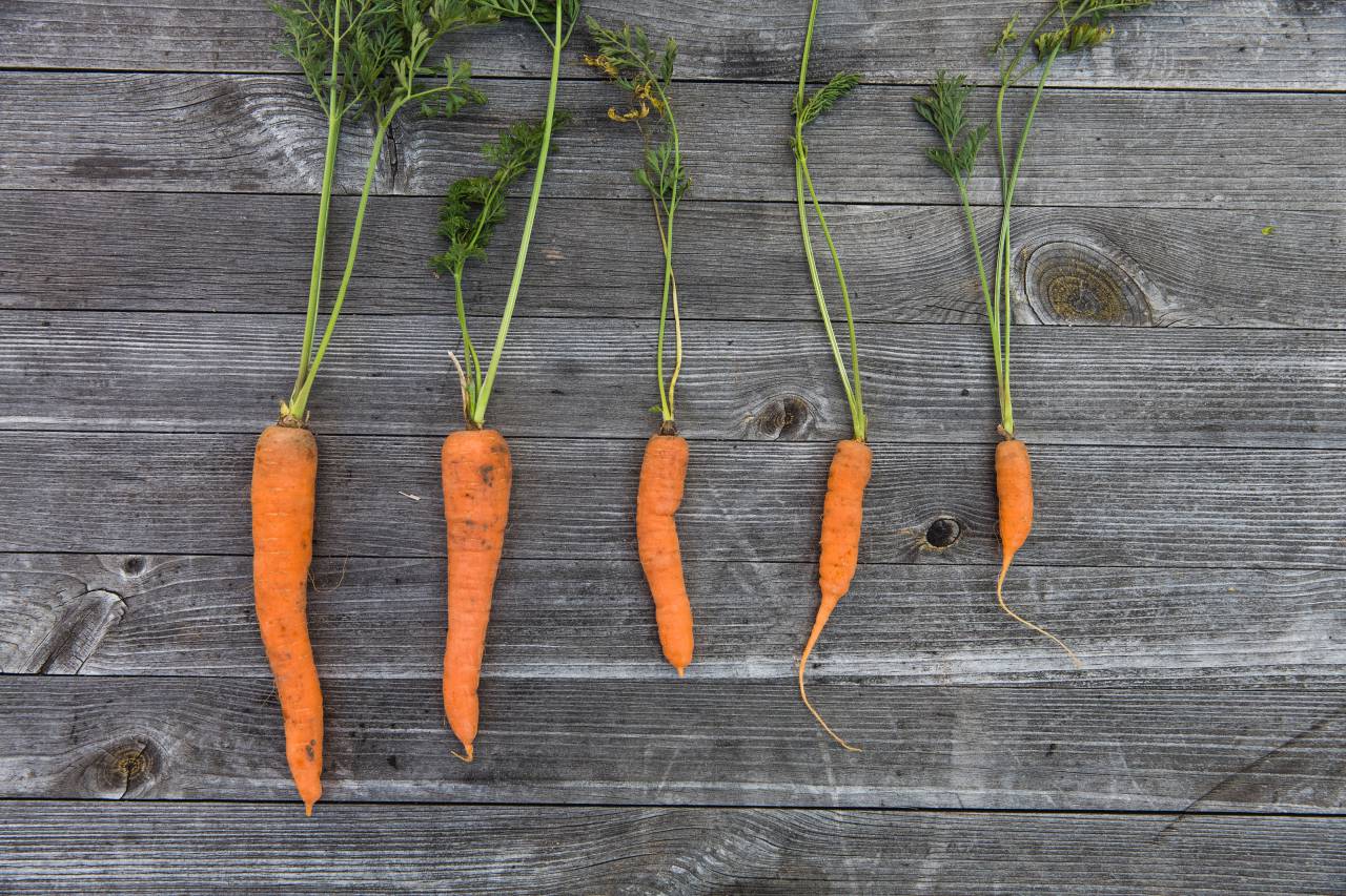orange, carrots, vegetables, healthy, food, wood
, 