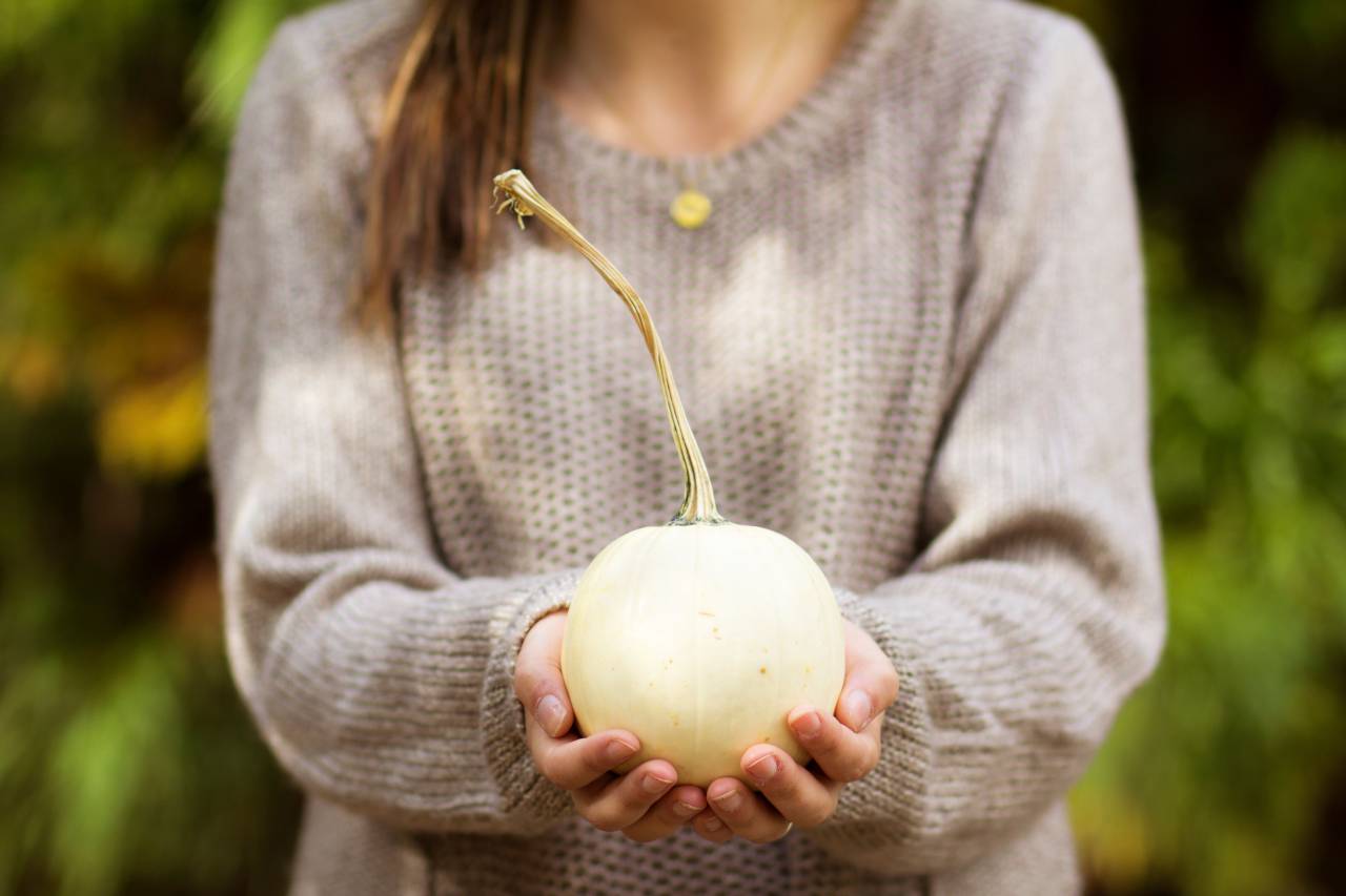 people, girl, jacket, hand, white, squash, pumpkin, vegetable
, 