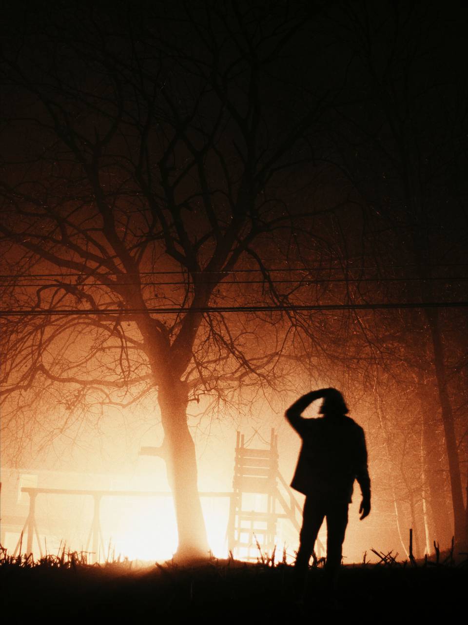 La gente, el hombre, solo, aventuras, al aire libre, árboles, plantas, ramas, césped, silhoutte,