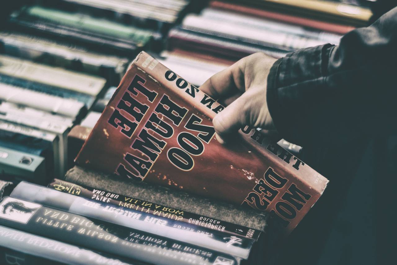 gente, hombre, mano, libros, papel, cosa, almacenar, biblioteca, leyendo, lector, historia, humano, zoológico, establecimiento,