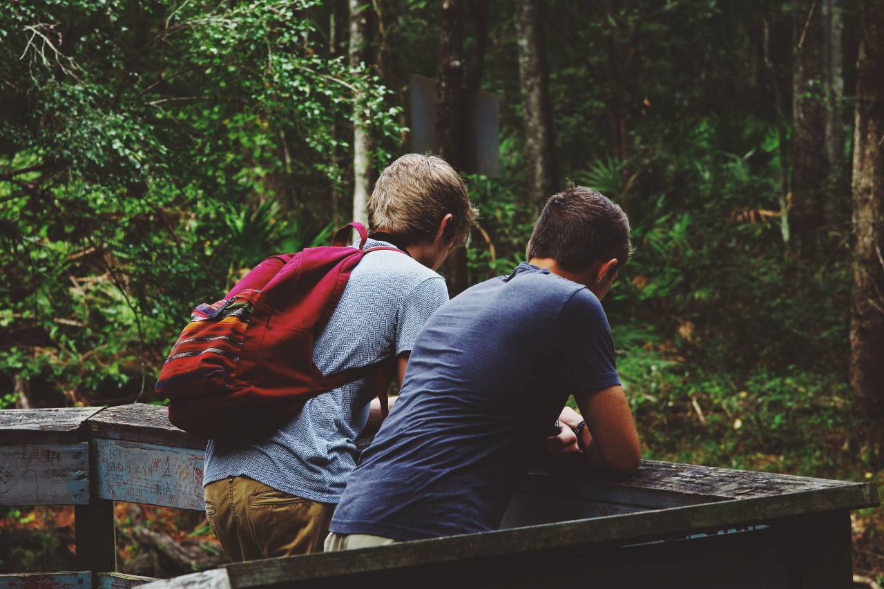 people, men, buddies, travel, adventure, trees, woods, forest, trip, friends
, 