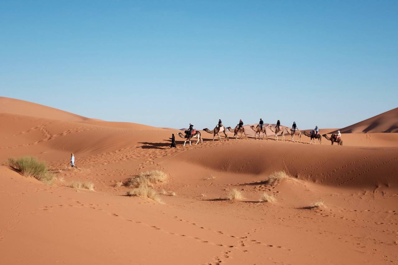 La gente, paseo, caminar, camello, desierto, marrón, huellas, arena, verde, césped, azul, cielo,
