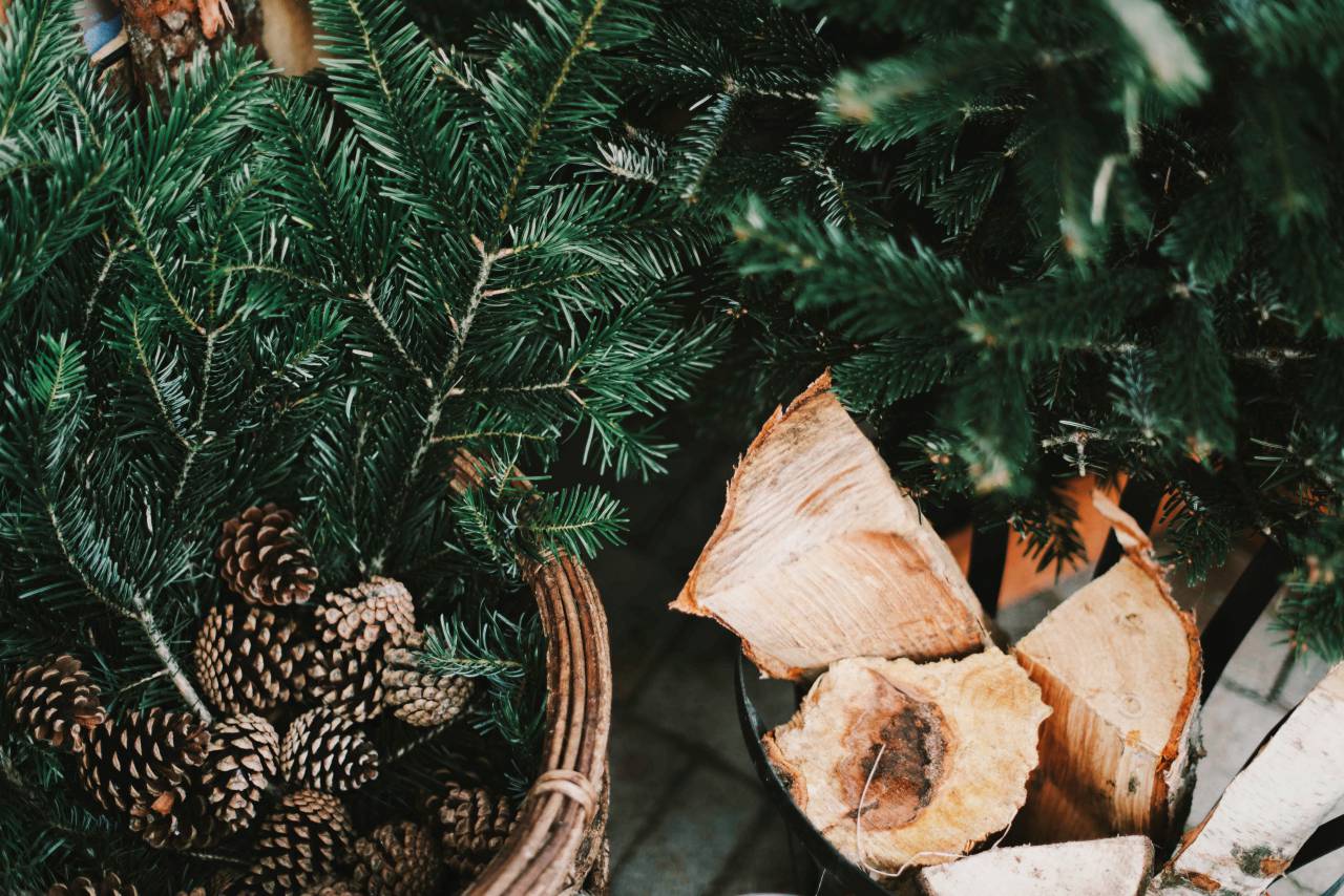 pine cone, crops, leaves, bark, wood, green, basket
, 