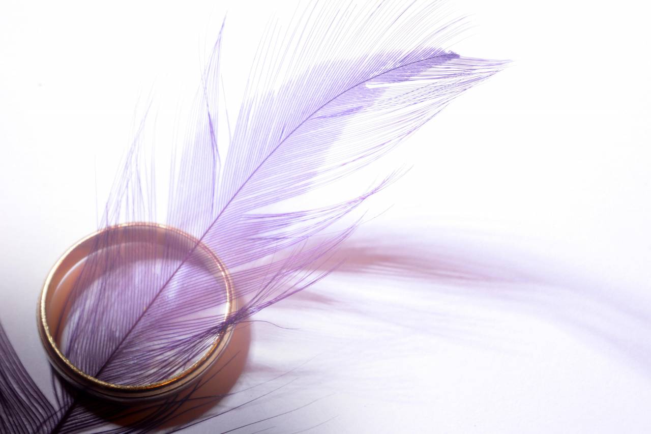 púrpura, pluma, oro, anillo, objetos,