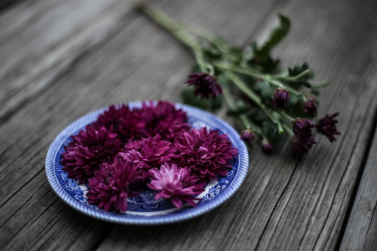 purple, violet, color, petal, flower, green, leaf, plate, wooden, table, blur
, 