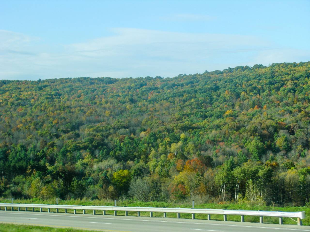 road, guard rail, mountains, trees, sky
, 