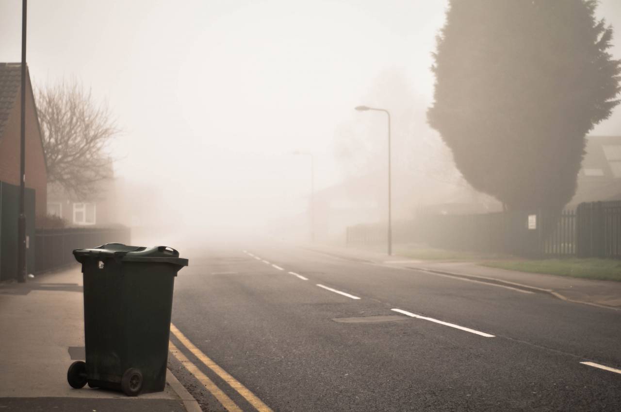 road, street, tree, plant, outdoor, foggy, trash bin, can, clean
, 