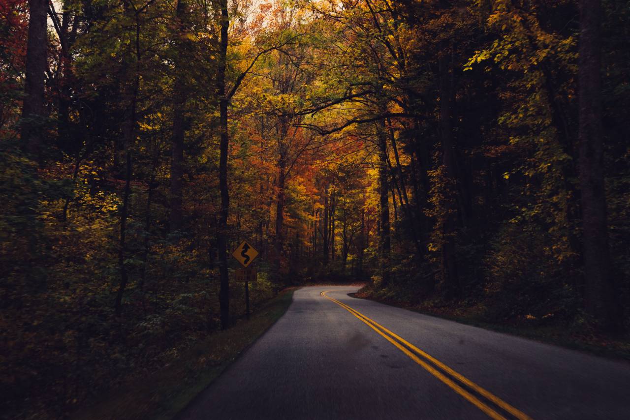 rural, winding, road, trees, forest, woods, fall, autumn, nature
, 