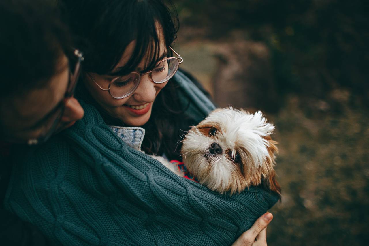 Shih Tzu, puppy, dog, smile, man, woman, happy, animals, doggo, glasses, female, girl, male, family
, 