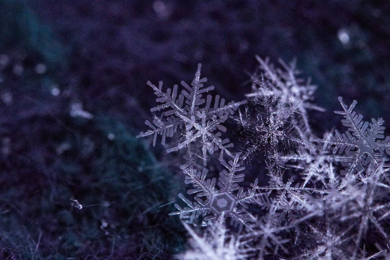 Nieve, escamas, macro, invierno, vacaciones, fondo, hielo, detalle, resumen, clima, cerrar, textura, frío, congelado, navidad, copo de nieve,