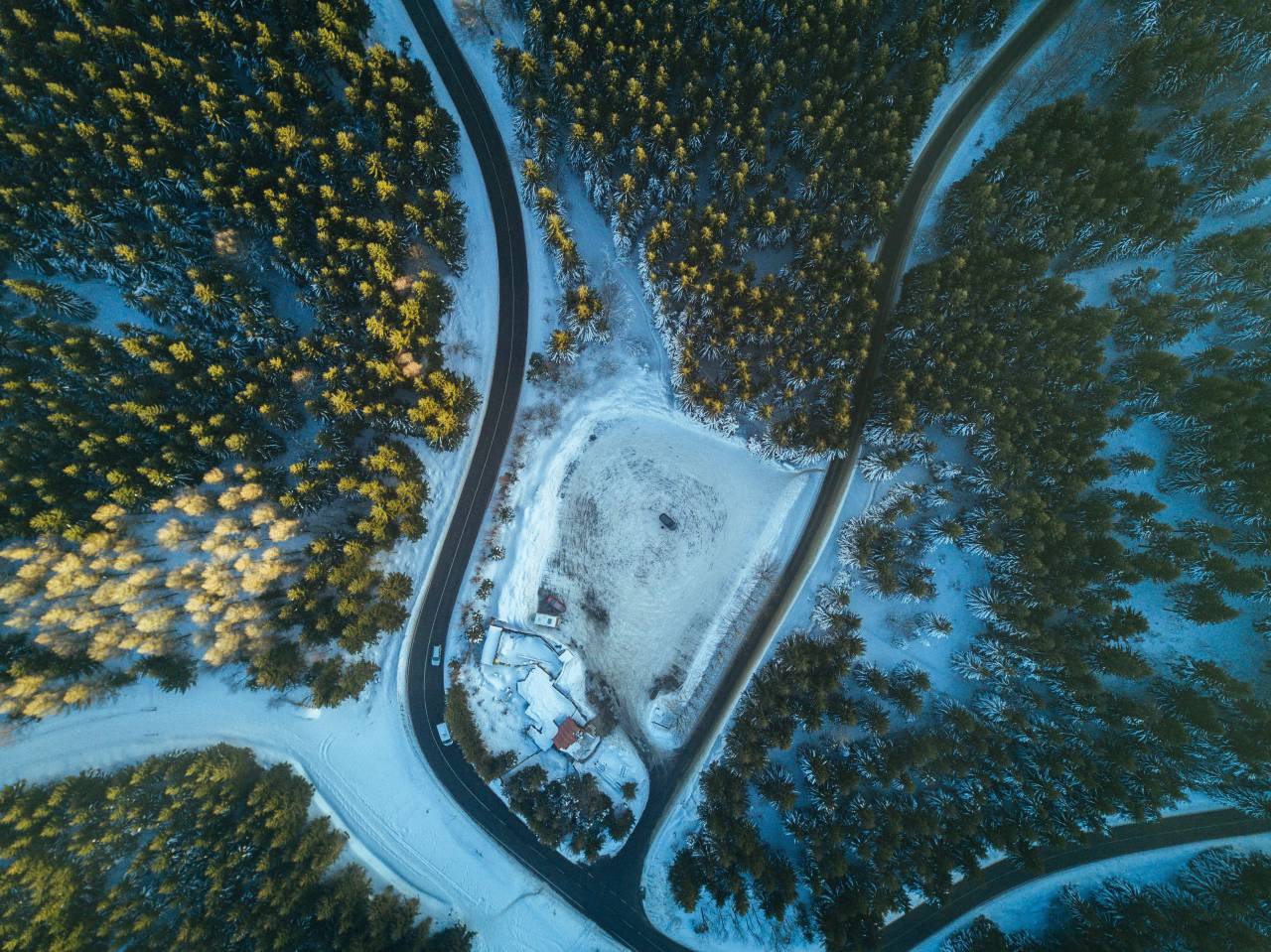 Espiral, valla, casa, vehículo, coche, nieve, invierno, árboles, pino, hielo, vista superior, carretera,
