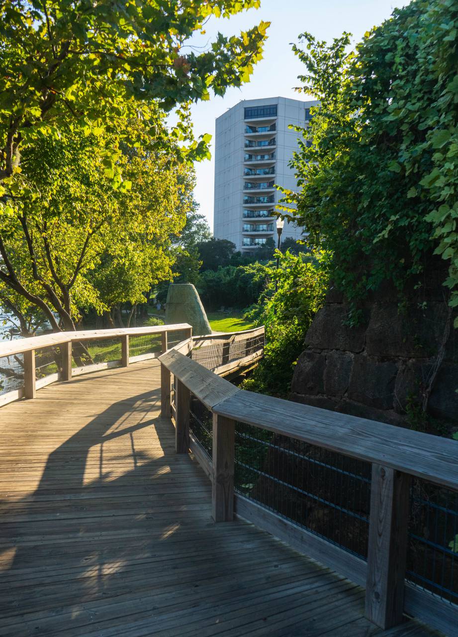 sun, path, outdoors, wooden, walkway, bridge, trees, building, travel, exploring, view, walking
, 