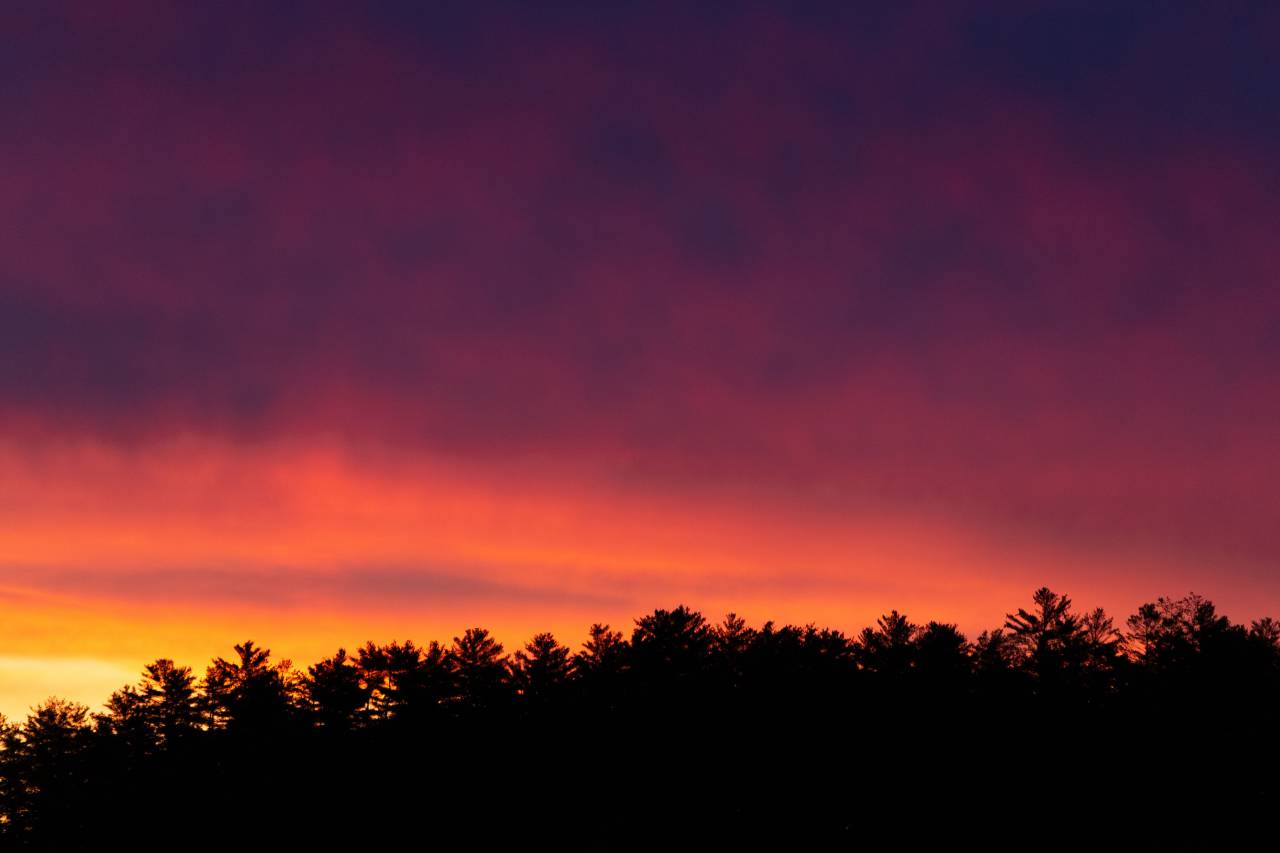 sunset, clouds, trees, silhouette, nature, outdoors, dusk, sunlight, sky, warm, scenic, forest, glow, environment, vibrant, horizon
, 