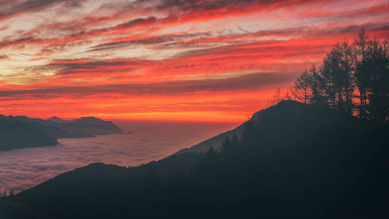 sunset, ocean, clouds, sky, sea, beach, trees, mountain, nature, landscape
, 