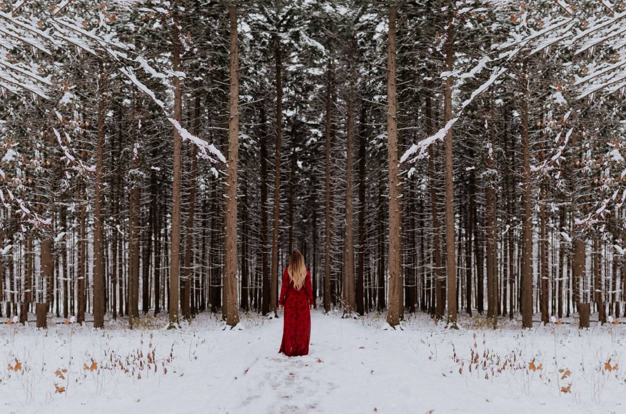 tree, plant, forest, snow, winter, people, girl, alone, red, dress, cold, weather
, 