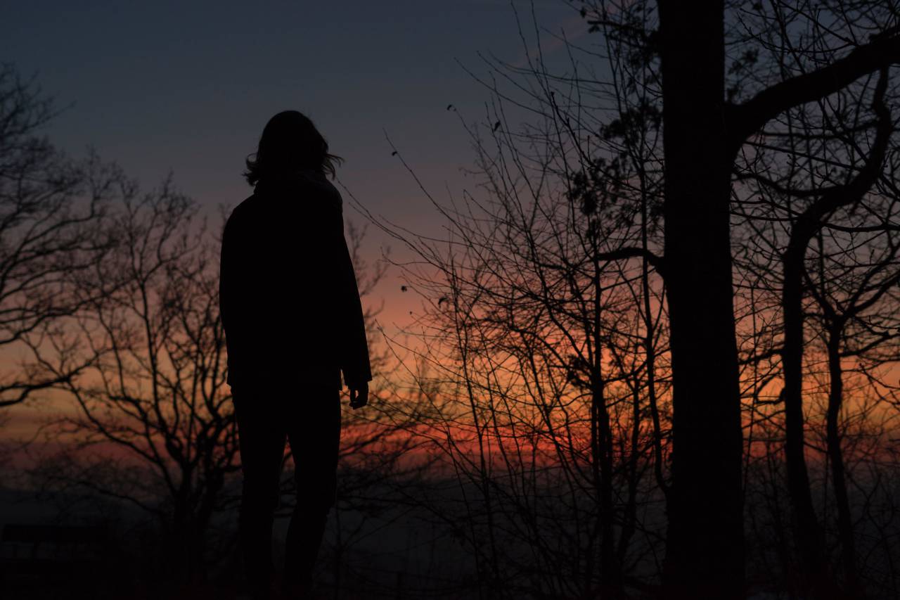 trees, branch, plant, nature, sky, sunset, silhouette, people, man, hill, topview, overlooking
, 