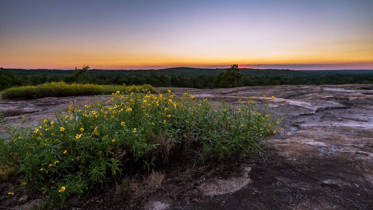 trees, green, grass, flowers, nature, sky, clouds, forest, mountain, landscape, sunset
, 