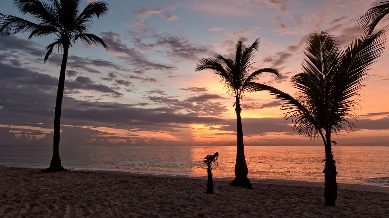 tropical, playa, puesta de sol, vacaciones, arena, agua, océano, mar, cielo, nubes, palmeras, viajar, turismo, oscuridad, hermoso, escénico, relajarse, costa, apuntalar,