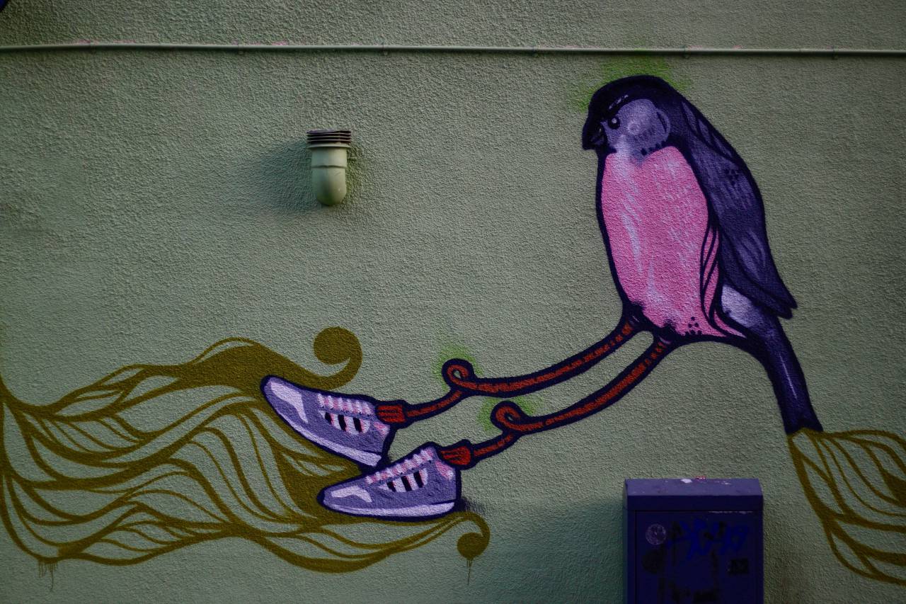 wall, art, mural, painting, bird, shoe
, 