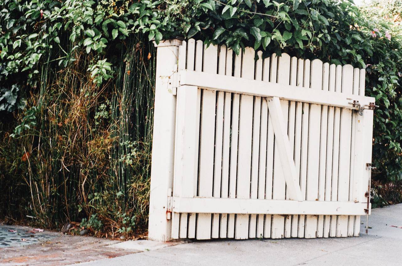 white, gate, fence, vines, bushes, leaves
, 