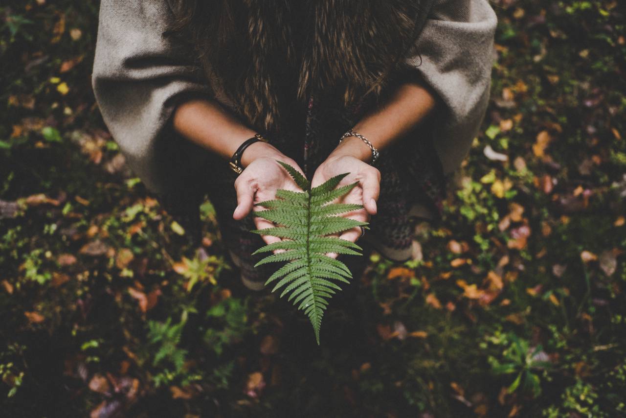 Mujer, tenencia, dejar, árbol, naturaleza, aventura, viaje, vacaciones, bosque, bosque, sendero, niña, hembra,