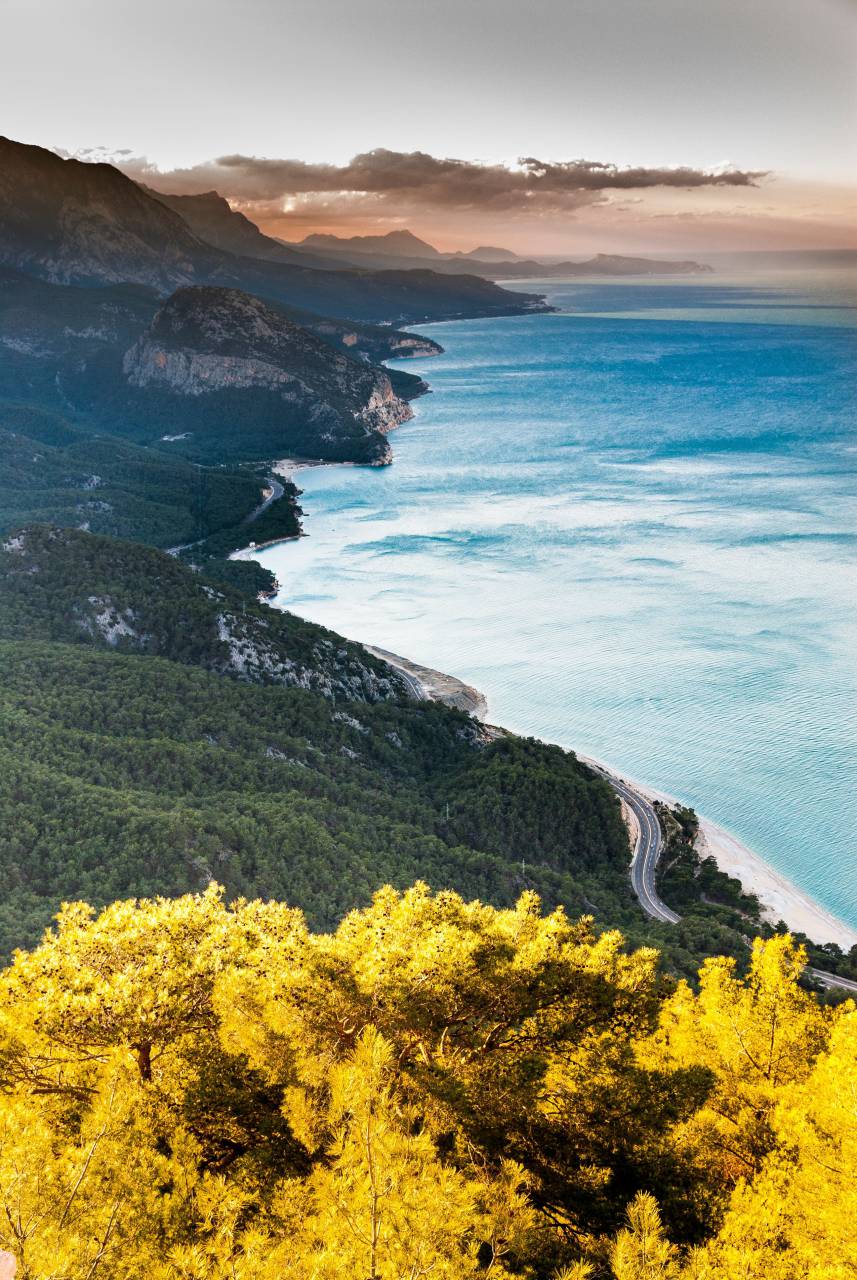 amarillo, planta, árboles, naturaleza, montaña, tierras altas, camino, camino, bosque, mar, océano, azul, agua, playa, costa, apuntalar, naturaleza, paisaje, vista, nubes, cielo,