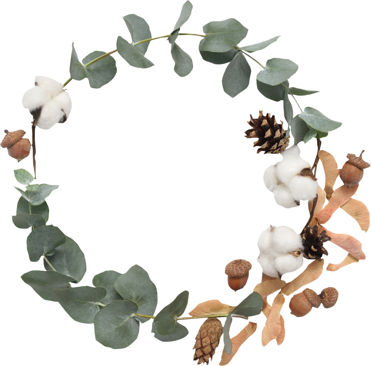  laurel wreath,overlay,png,leaf,nature,autumn,backgrounds,season,plant,decoration,close-up
