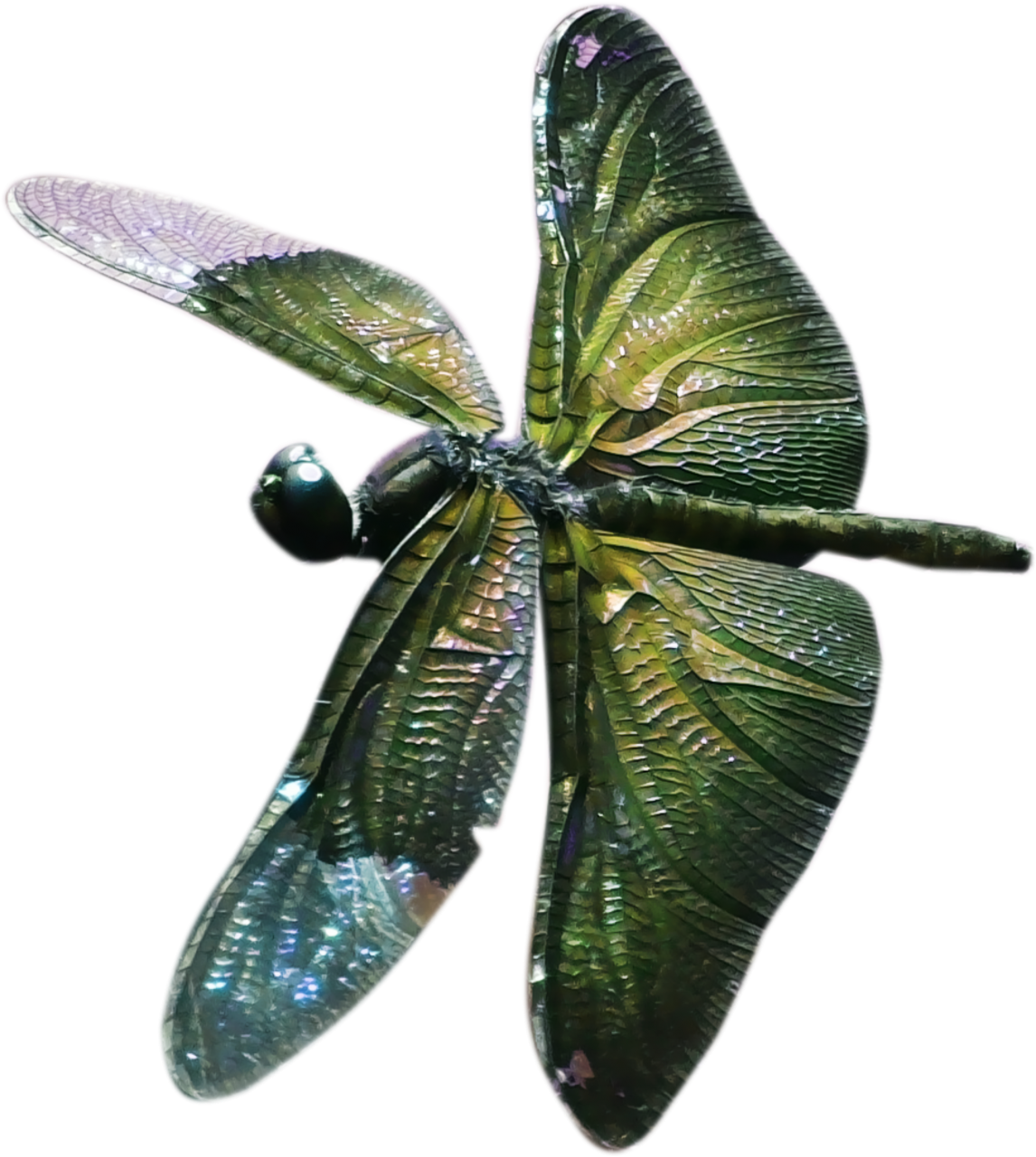  dragonfly,overlay,png,nature,close-up,green color,leaf,plant,macro,animal,drop,beauty in nature,black background,multi colored,transparent,water,backgrounds,insect