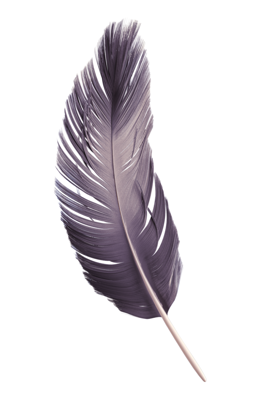  feather,overlay,feather,close-up,nature,animal,single object,macro,black background,backgrounds,pattern,fragility,quill pen