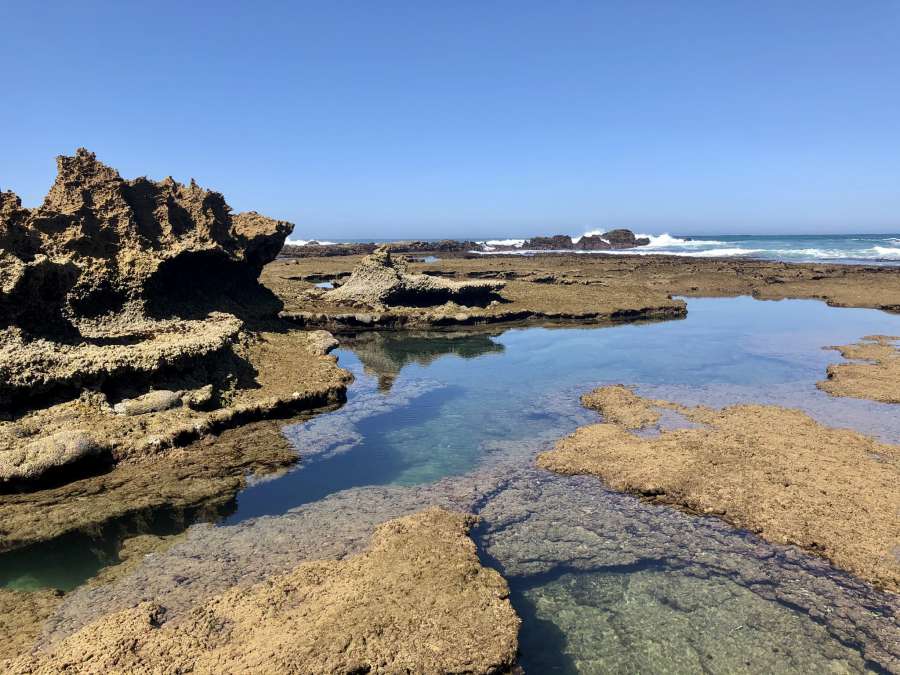 beach erosion, coral, ecosystem, reef, water 