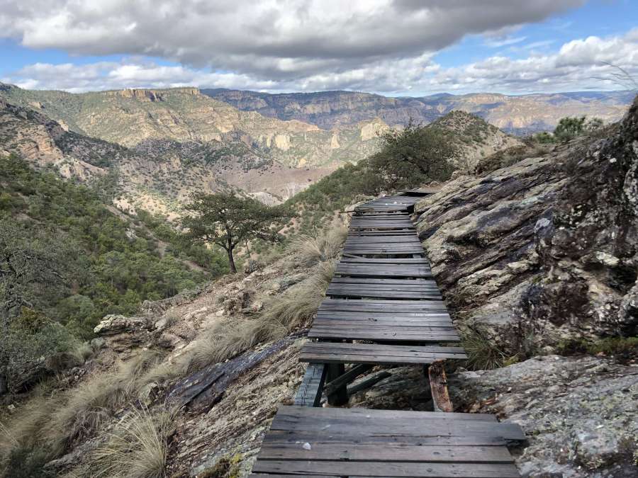 bridge, national park, trail, wooden 