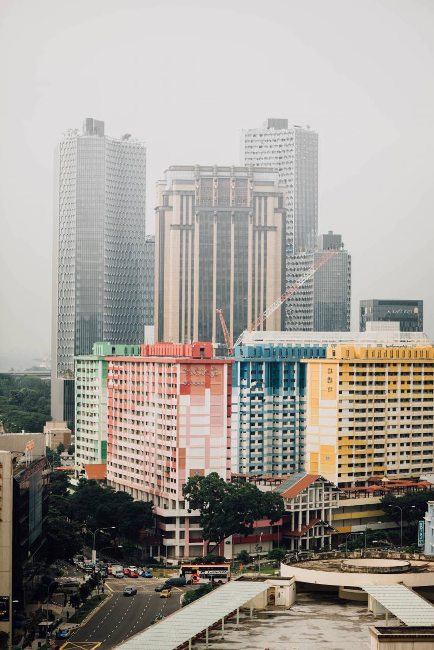 architecture, buildings, infrastructure, sky, city, urban, tower, skyline, skyscraper, crane, construction, tree, plant, nature, view, street, road, transportation, bus, car, vehicle, travel
, 