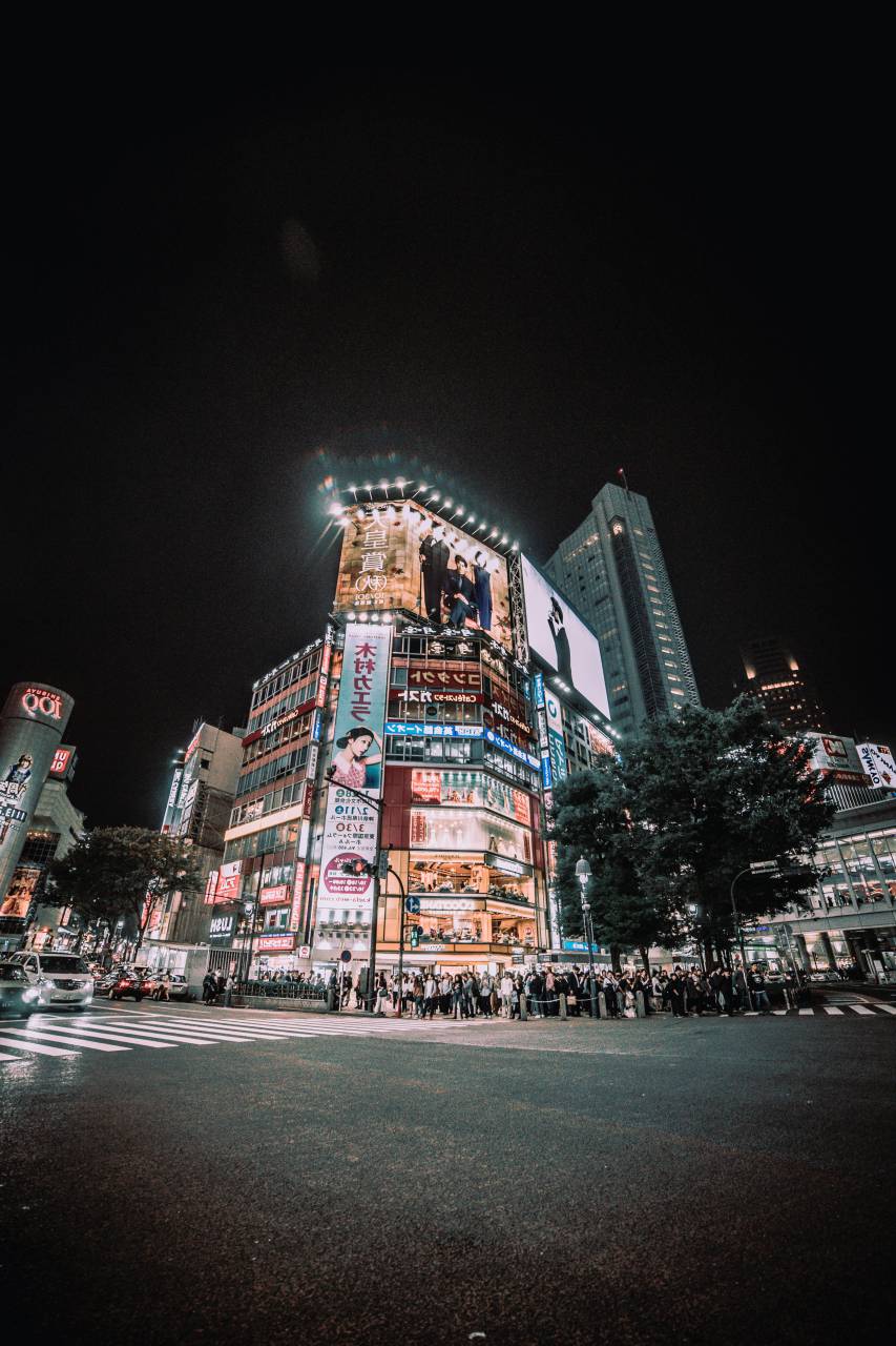 architecture, buildings, infrastructure, street, pedestrian, crossing, night, traffic, lights, car, vehicle, trees
, 