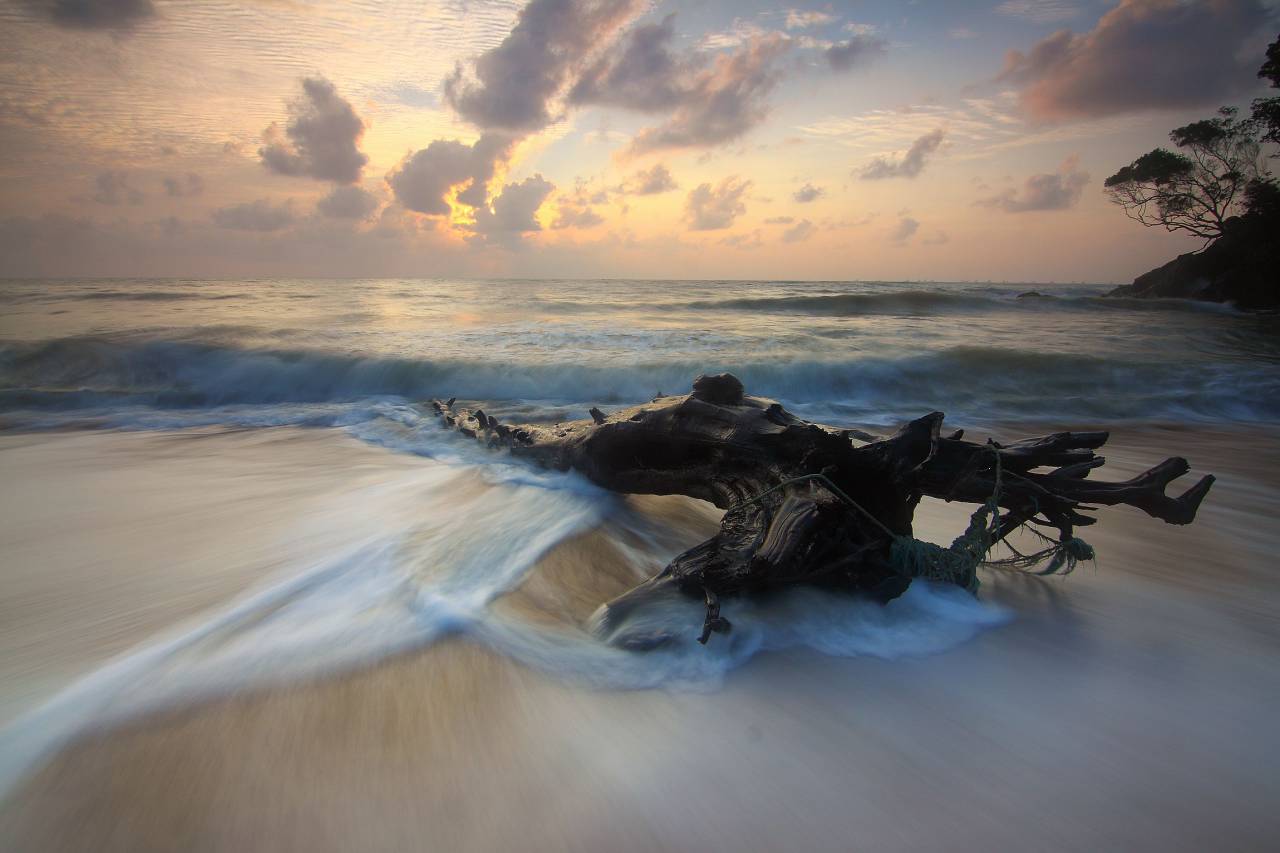 beach, sand, sea, ocean, water, nature, sky, clouds, tree, sunset, horizon, vacation, waves, wood, rope
, 